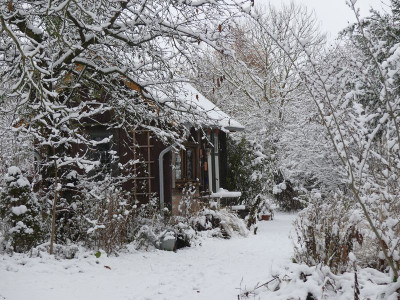 2022-12-02 Gartenimpressionen 2.jpg