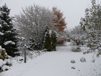 2022-12-02 Gartenimpressionen 3.jpg