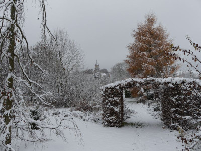 2022-12-02 Gartenimpressionen 6.jpg