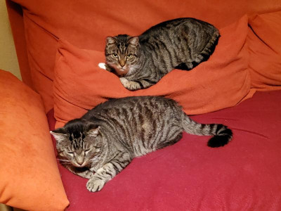 Bobo&Kalle 17.jpg