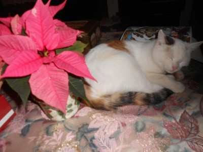 DSCN5171.JPG