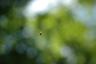 12.05.2008_034.jpg