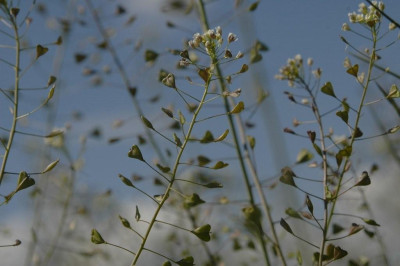 10.05.2008_026.jpg