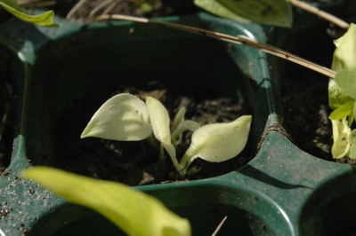11.05.2008_035.jpg