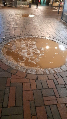 goslarbaumweg.jpeg