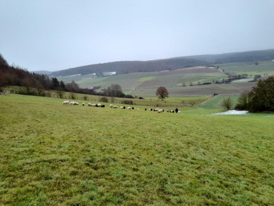 hangabwärtsgrubenberg.jpg