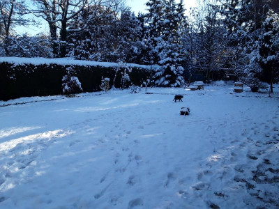 VielSchnee.jpg