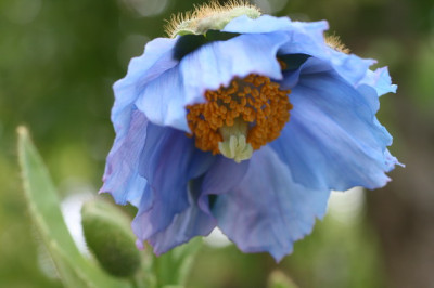 IMG_0194_Groenveranderung.JPG