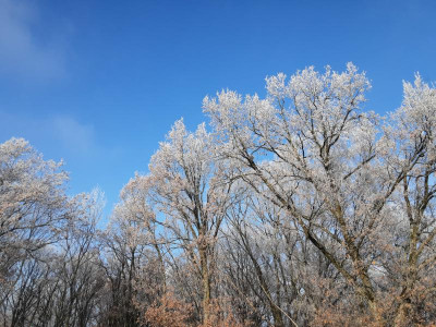 20221215_130306.jpg