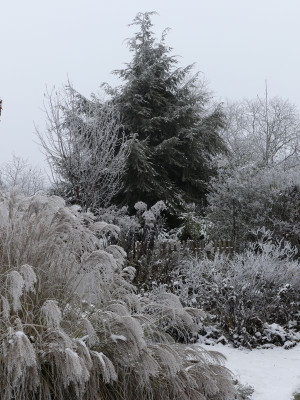 2022-12-17 Gartenimpressionen 3.jpg