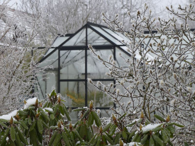 2022-12-17 Gartenimpressionen 5.jpg