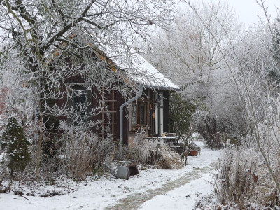 2022-12-17 Gartenimpressionen 7.jpg