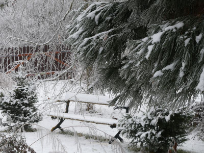 2022-12-17 Gartenimpressionen 10.jpg
