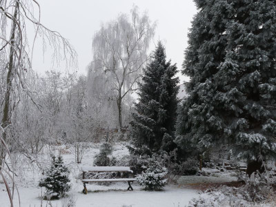 2022-12-17 Gartenimpressionen 12.jpg