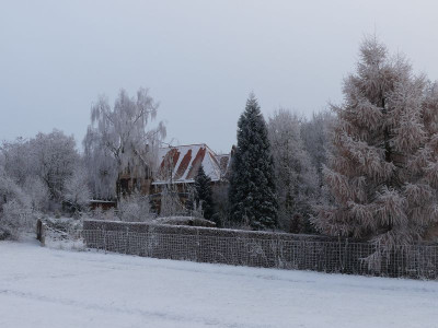 2022-12-17 Gartenimpressionen 15.jpg