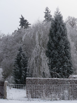 2022-12-17 Gartenimpressionen 16.jpg