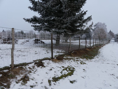 2022-12-17 Garteneinblick 1.jpg