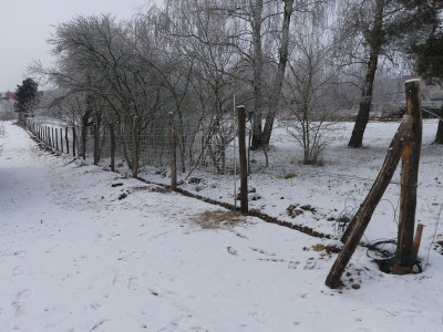 2022-12-17 Garteneinblick 3.jpg