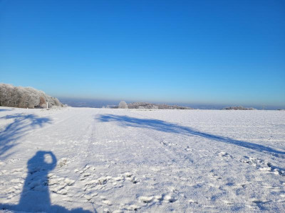 20221217_141035.jpg