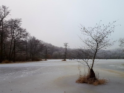 20221217_153508.jpg