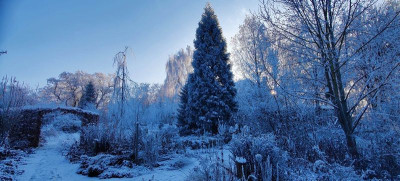2022-12-18 Gartenimpressionen 1.jpg