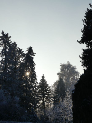 2022-12-18 Garteneinblick 3.jpg