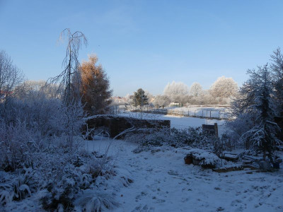 2022-12-18 Garteneinblick 5.jpg