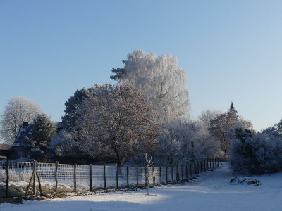 2022-12-18 Garteneinblick 10.jpg