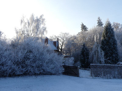 2022-12-18 Garteneinblick 14.jpg