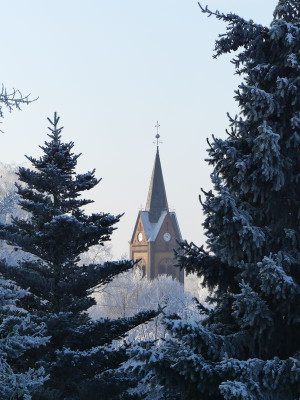 2022-12-18 Garteneinblick 17.jpg