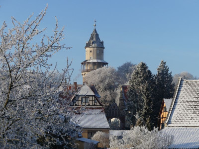 2022-12-18 Garteneinblick 19.jpg