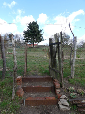2022-04-09 Garteneinblick 8.jpg
