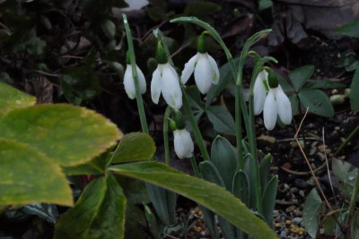 DSCF7138.JPG