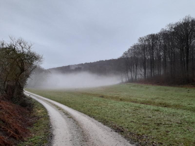 teufelspfaddunst.jpg
