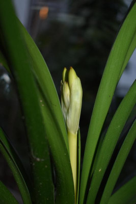 DSC_0246.JPG