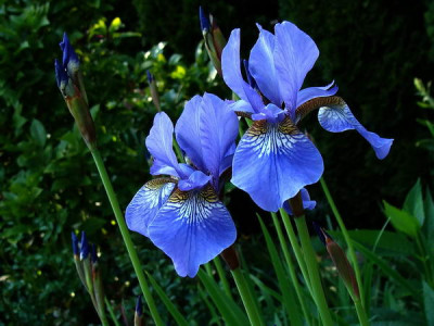 14.5.2008_17-47-06_0196.jpg