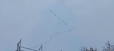 20221214_124711.jpg