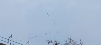 20221214_124713.jpg