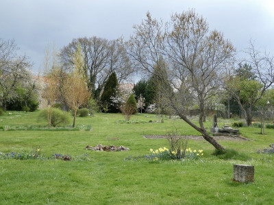 frühling.jpg