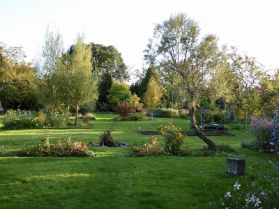 herbst.jpg