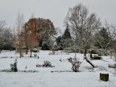 winter.jpg