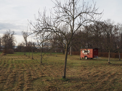 Streuobstwiese 31.12.22 ue.JPG