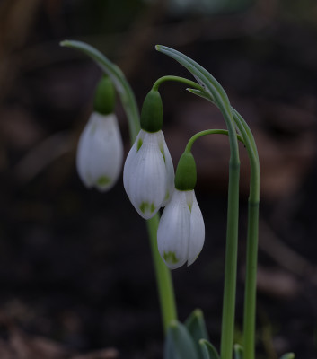 DSC_6964_DxO.jpg