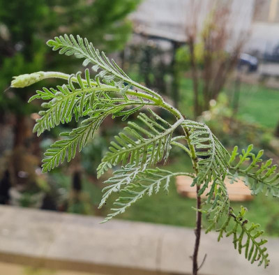 20230102_124551.jpg