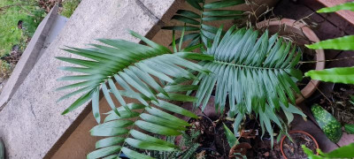 20230104_090328.jpg