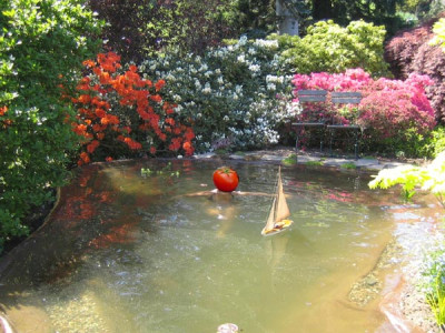 teichbad_0151.jpg