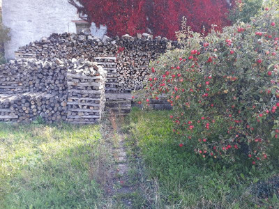 20221010_112206.jpg