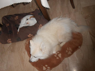 DSCN5233.JPG