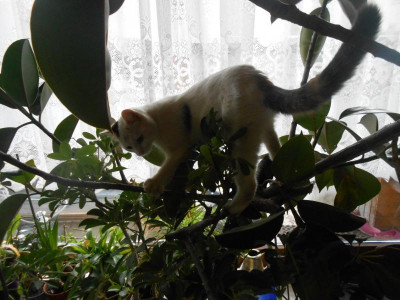 DSCN5260.JPG