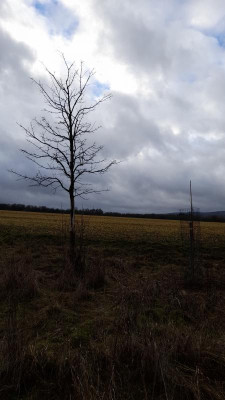 IMG-20230105-WA0021.jpeg